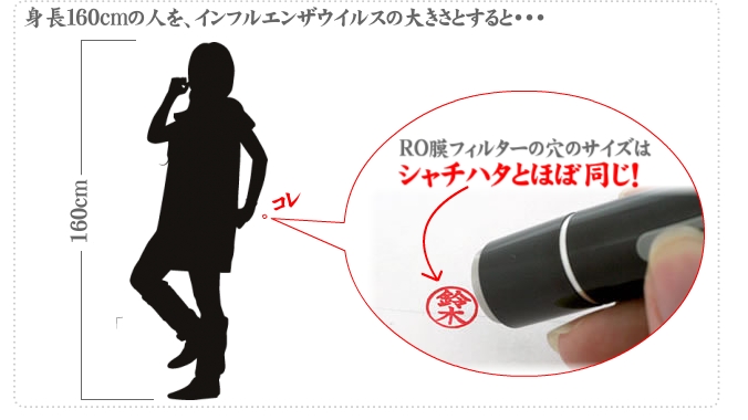 �E�C���X�̑傫��������